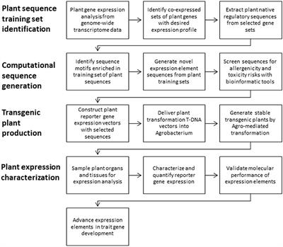 Expression Elements Derived From Plant Sequences Provide Effective Gene Expression Regulation and New Opportunities for Plant Biotechnology Traits